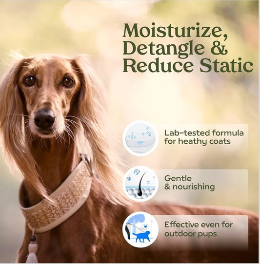 "Paw Fume Premium Dog Cologne - Long-Lasting Grooming Spray for a Fresh & Fabulous Pup!"